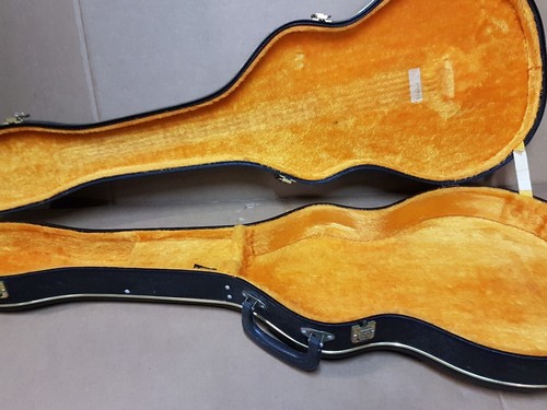 1976 pearl case light - 1976, lp